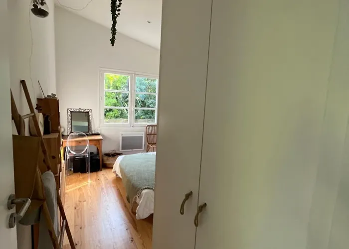 Проживание в семье Athena Cap-ferret Леж-Кап-Ферре