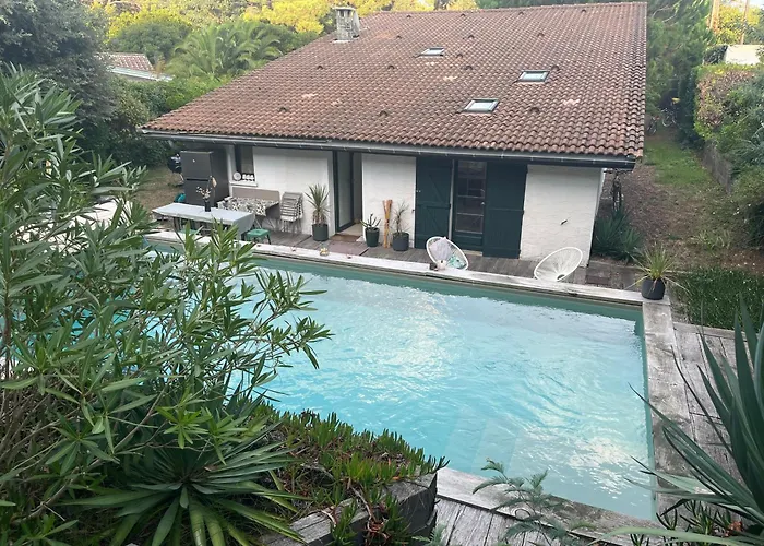 Athena Cap-ferret Проживание в семье Леж-Кап-Ферре